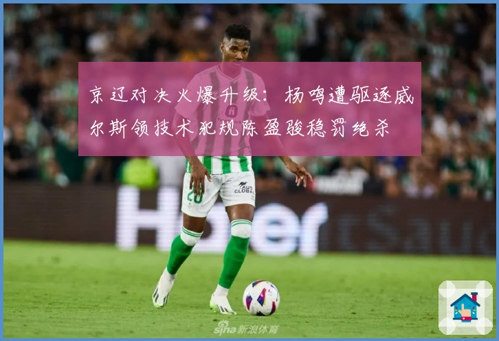 京辽对决火爆升级：杨鸣遭驱逐威尔斯领技术犯规陈盈骏稳罚绝杀