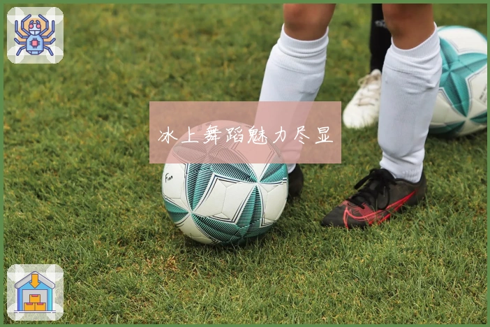 冰上舞蹈魅力尽显