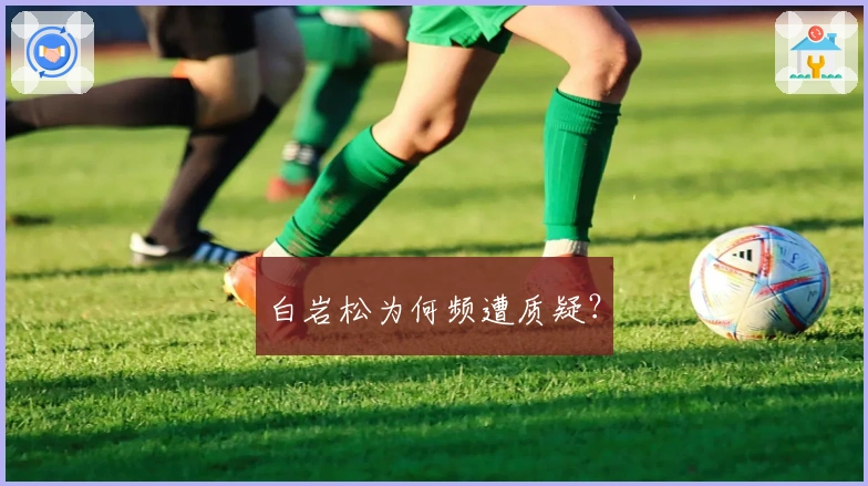 白岩松为何频遭质疑？