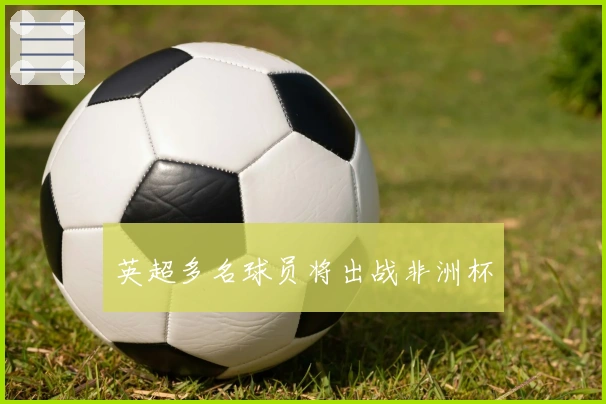 英超多名球员将出战非洲杯